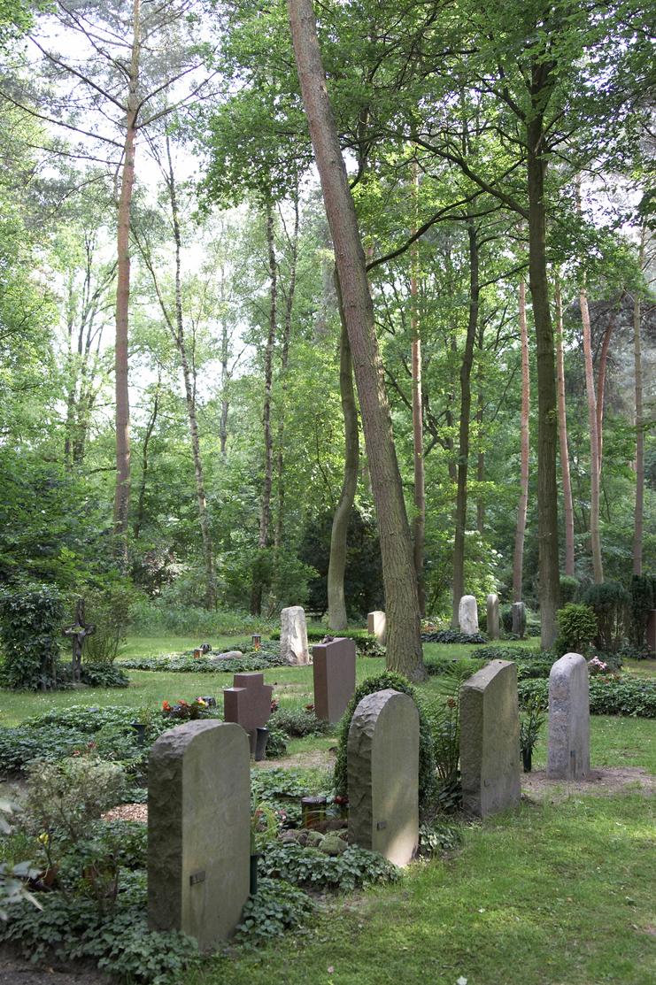 Friedhofsansicht mit Grabsteinen in einer bewaldeten Umgebung, umgeben von grünen Bäumen und Blumen.